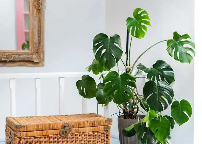 Semesterbostad Layla Blu In The Medieval Town Rhodes City