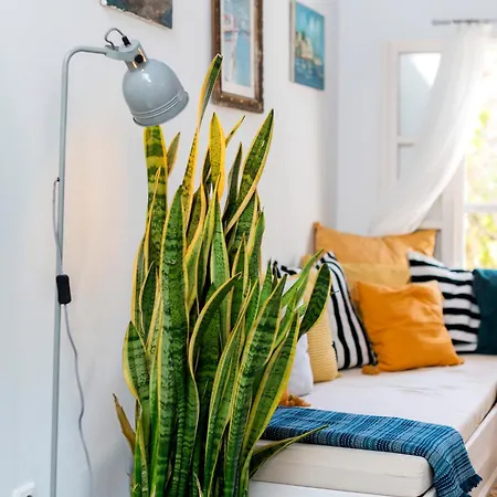 Holiday home Layla Blu In The Medieval Town *