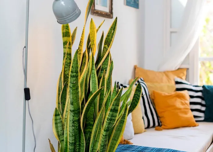 Hébergement de vacances Layla Blu In The Medieval Town *