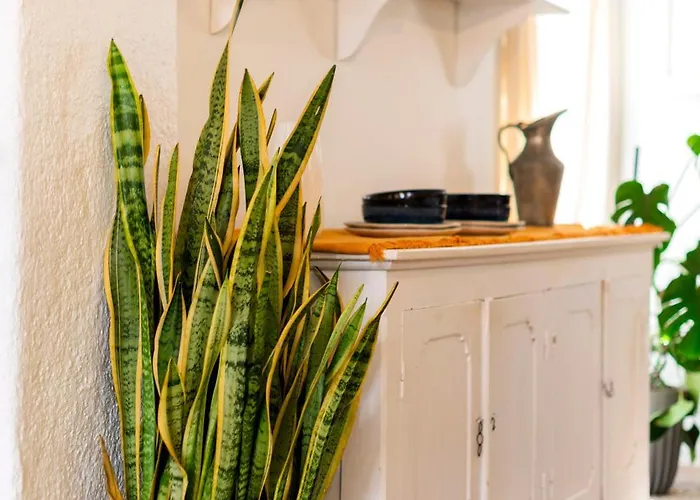 Layla Blu In The Medieval Town Rhodes City