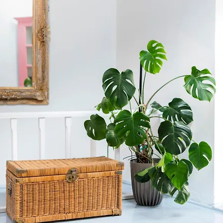 בית נופש Layla Blu In The Medieval Town עיר רודוס