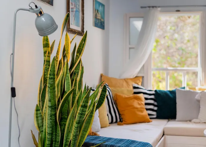 Layla Blu In The Medieval Town בית נופש