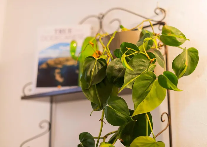 בית נופש Layla Blu In The Medieval Town